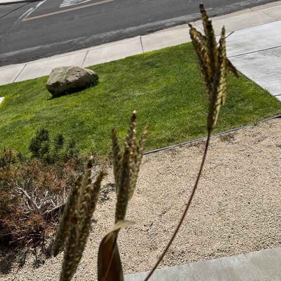 vintage home interior Mid-Century Modern metal wheat stalk wall art brass copper - Picture 13 of 13